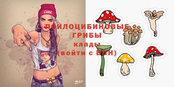 альфа пвп Семикаракорск