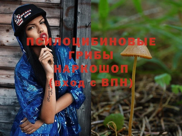 альфа пвп Семикаракорск